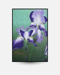 Peinture Nihonga Iris violets